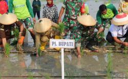 Varietas Protani Digadang-gadang Mampu Tangani Stunting