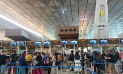 Sudah Tahu Perbedaan Terminal 1, 2 dan 3 Bandara Soetta? Ini Penjelasannya