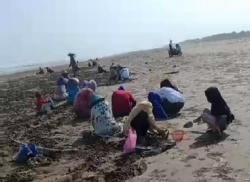 Asyiknya Berwisata sambil Berburu Kerang di Pantai Karangnawing Lebak