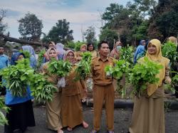 Kreatif, PNS di Babel Sulap Lahan Kosong Samping Kantor Gubernur jadi Kebun Sayur, Dibagikan Gratis