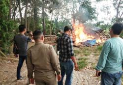 Petugas Gabungan Bongkar dan Bakar Arena Judi Sabung Ayam di Desa Grinting Brebes