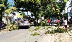 2 Minibus di Kendari Rusak Parah Tertimpa Pohon yang Ditabrak Truk Fuso