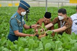 Dampingi Wapres Tinjau Batamindo Green Farm, Pangdam I/BB Dorong Pertanian Masyarakat