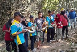 Membersihkan Sampah di Sungai,  Warga Pusur Klaten Dihadang  Ular Piton