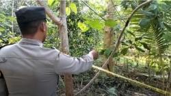 Pilu, Dibunuh Ayah Kandung Akibat hasil Hubungan Gelap Makam Bayi Kembar Dibongkar Polisi