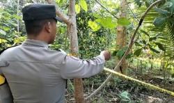 Makam Bayi Kembar di Mubar Hasil Perselingkuhan yang Dibunuh Ayah Kandung Dibongkar