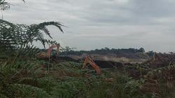 Bos Tambang Mr Bernyali Besar, Hutan Lindung Penganak Dijadikan Tambang Skala Besar