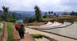 Petani dan Peternak di Sumedang Bakal Terima Bantuan Rp19,5 Miliar dari Kementan