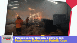 Berjibaku Selama 5 Jam, Petugas Damkar Gresik Berhasil Jinakkan Kebakaran di Gudang Pabrik Kayu