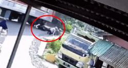 Viral Pemotor Nyaris Tertabrak Kereta di Perlintasan Tanpa Palang Kalideres Jakbar