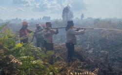 Karhutla Rohul Berhasil Dipadamkan