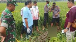 Cilacap Geger! Gadis Muda Tewas Dibunuh, Mayatnya Telanjang Dikubur di Lumpur Sawah