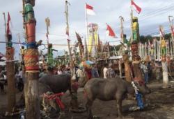 Mengenal Ritual Tiwah Memanggil Roh Leluhur Suku Dayak di Kalteng