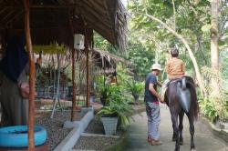 Wisata Edukasi Waras Farm Cocok Jadi Referensi Liburan Bersama Keluarga, Seperti Ini Keseruannya