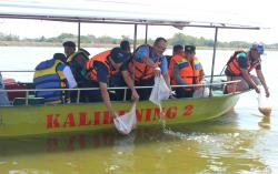 Jaga Ekosistem, Jasa Tirta I Tebar 25 Ribu Benih Nila di Waduk Mulur Sukoharjo