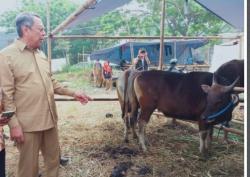 Berbagi Berkah Idul Adha 2023, Pemkot Tangsel Salurkan 87 Hewan Qurban