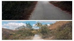 Injanda Bisa Dongkrak Ekonomi Daerah, Pemkab Sumba Timur Diharap Optimalkan Peluang