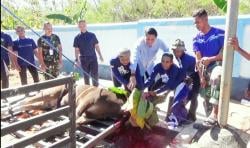 Rayakan Idul Adha, Lanud El Tari Kupang Potong 44 Hewan Kurban