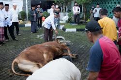 11 Ribu Lebih Hewan Kurban Disembelih di Kota Bandung Saat Idul Adha 2023