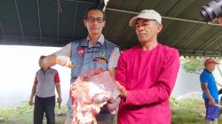 Antisipasi Daging Kurban Tak Layak Konsumsi, DKPP Sidak Penyembelihan Hewan Kurban