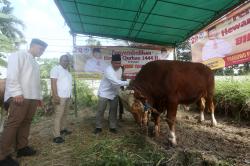 Idul Adha 1444 H, Posko BHS Sembelih Belasan Hewan Kurban