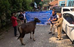 Program Peduli PT Pelindo Regional 2 Banten, Kembali Salurkan 13 Hewan Qurban Idul Adha 1444 H