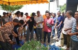 Syahbandar Tapaktuan Bagikan Daging Qurban Kepada Masyarakat Sekitar Pelabuhan