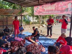 Semangat Pengorbanan Idul Adha 1444 Hijriah, PDIP kota Mataram Sembelih 1 Sapi dan 5 Kambing