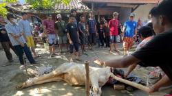 5 Larangan Penting Sebelum Melaksanakan Ibadah Kurban di Hari Raya Idul Adha, Muslim Wajib Tahu!