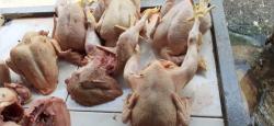 Harga Daging Ayam di Salatiga Melonjak Tinggi , Omzet Pedagang Daging Ayam Anjlok 70 Persen