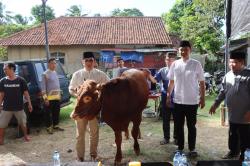 Polisi Bagikan Daging Kurban 7 Sapi dan 34 Kambing bagi Warga di Kuningan