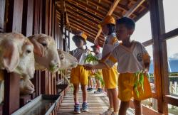 Didik Karakter Anak, Siswa Bisa Berwisata di Mini Agrowisata Surabaya, Ini Lokasinya