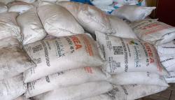 Pupuk Subsidi di Kabupaten Probolinggo Tersisa 55,28 persen, Urea 16.918,14 ton, NPK 15.877, 20 ton