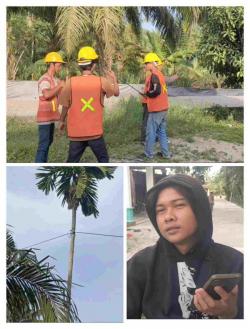 Warga Batu Bara Resah, Kabel Fiber Optik Milik Perusahan Swasta Dipasang di Pohon Pinang