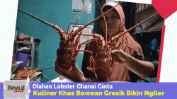 Bikin Ngiler! Lobster Chanai Cinta, Olahan Seafood Khas Nelayan Bawean Gresik, Rasanya Mantap