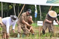 Wakil Ketua DPRD Kaltim Harap Pemprov Programkan Lahan Produktif Tiap Masa Jabatan