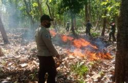 Musim Kemarau, BPBD Nganjuk Petakan 11 Lokasi Rawan Karhutla