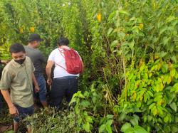 Polisi Ungkap Kasus Aborsi, Pelaku Mahasiswi Akper Buang Janin ke Semak Belukar di Wonomulyo