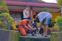 Universitas Pattimura dan Pemprov Maluku Gencarkan Pencegahan Rabies di Ambon