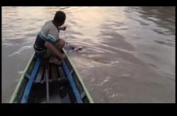 Viral Mayat Pria Tanpa Identitas Ditemukan di Sungai Kampung Negara Batin