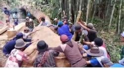 Warga Bulukumba Gotong Royong Tebang Pohon untuk Renovasi Masjid