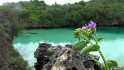 Wisata Laguna Weekuri, Pesona Alami Khas Kodi Sumba Barat Daya