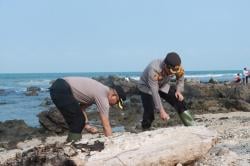 Polres Lamsel dan Pol PP serentak bersih bersih Pantai