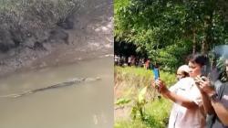 Warga Pandeglang Heboh, Buaya Seret Jasad Manusia di Sungai Cilemer