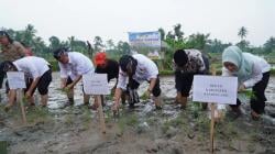 Hadapi Dampak El Nino, Mentan RI Siapkan Lumbung Pangan Nasional Termasuk di Pandeglang