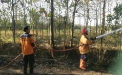 Waspada Kemarau! Karhutla di Sragen dan Klaten, 5 Hektare Hangus