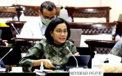 Total Rp13,29 Triliun! Sri Mulyani Raup Setoran Pajak Netflix, Google hingga Twitter