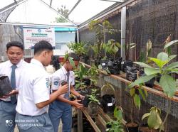 Siswa Baru SMAN 1 Sigaluh Bawa Bibit Buah ke Sekolah