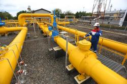 PGN Optimalkan Kontribusi Bisnis Upstream hingga Downstream Migas