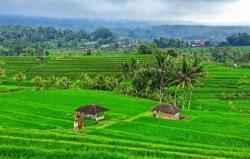 Begini Aturannya Gadai Tanah di Zaman Majapahit